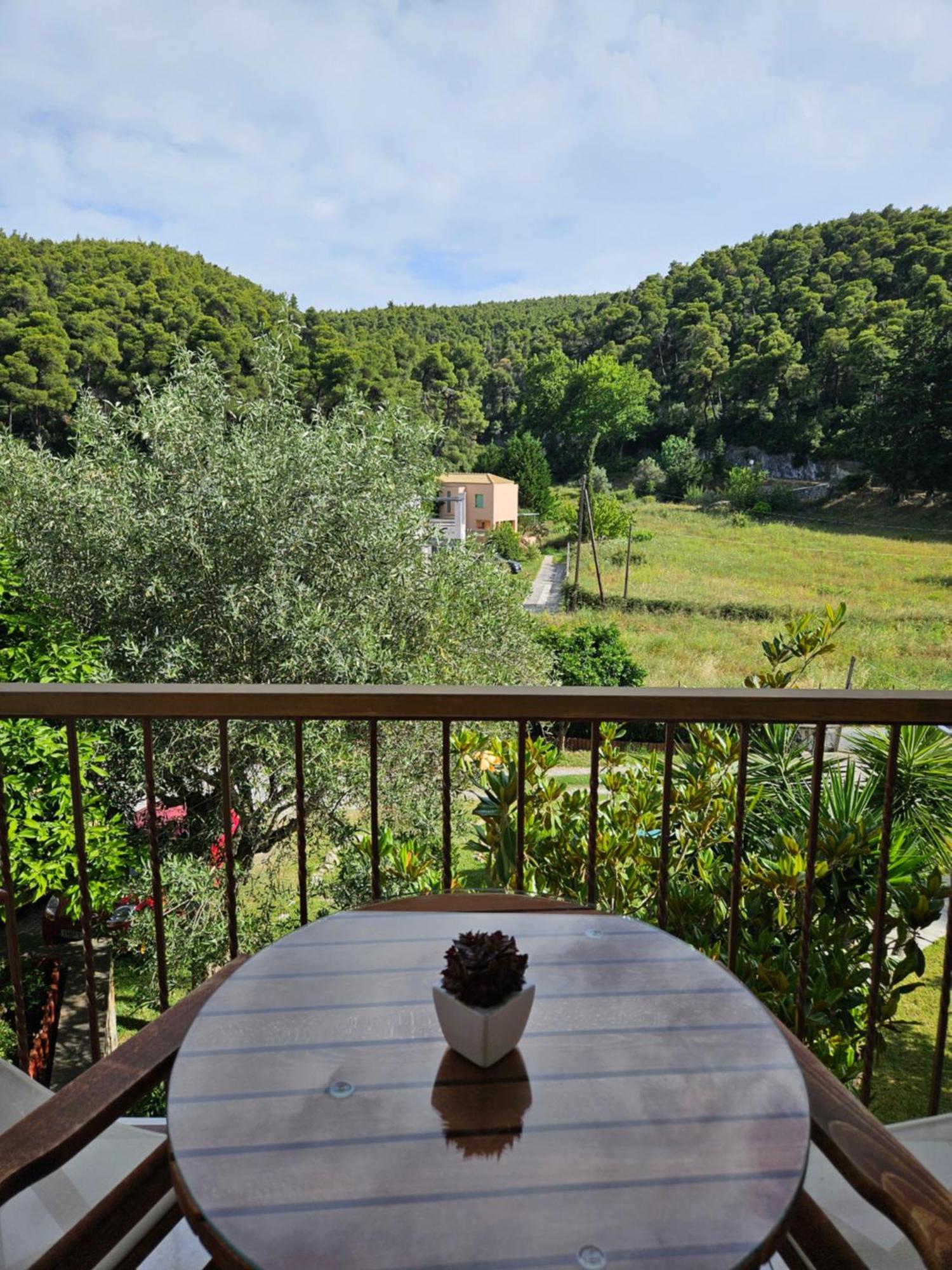 The Pine Trees Aparthotel Agnontas Exterior photo